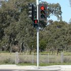 Bảng điều khiển năng lượng mặt trời Màu xanh đỏ Đèn giao thông tự động Cực Q345 Dành cho người đi bộ qua đường