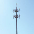 Tháp viễn thông chuyên nghiệp, tháp Pine Tree cải trang