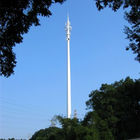 Tháp viễn thông chuyên nghiệp, tháp Pine Tree cải trang